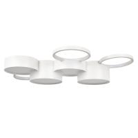 Накладной светильник LOFT IT 10317/7 White