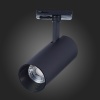 Светильник на шине ST-Luce ST350.446.20.24