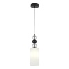 Подвесной светильник ST-Luce SL2003.403.01