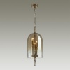 Подвесная люстра Odeon Light 4892/3