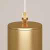 Подвесной светильник Maytoni P075PL-01MG