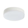 Светодиодная лампа Lightstar 943114