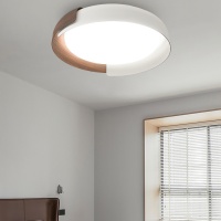 Накладной светильник ImperiumLoft 223829-23