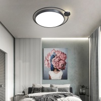 Накладной светильник ImperiumLoft 140641-26