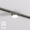 Светильник на шине Denkirs DK5761-DN