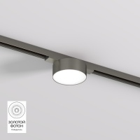 Светильник на шине Denkirs DK5761-DN