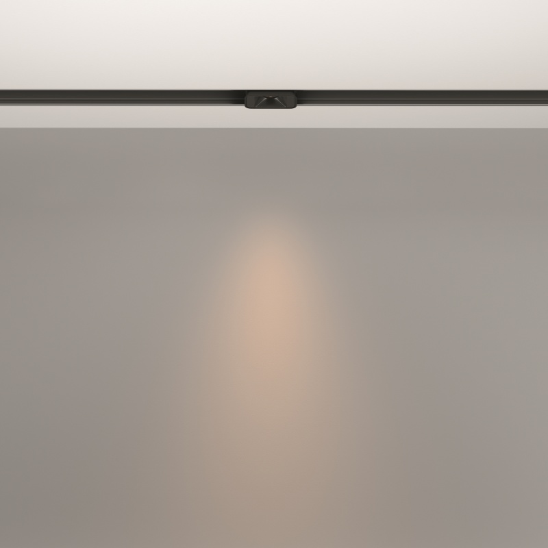 Трековый светильник Technical TR100-2-2W3K-S-B