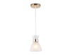 Подвесной светильник Ambrella Light TR3401