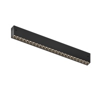 Светильник на шине Denkirs DK8302-BK