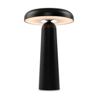 Аккумуляторный светильник Freya FR6109TL-L4B