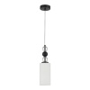 Подвесной светильник ST-Luce SL2003.403.01