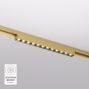 Светильник на шине Denkirs DK5771-SB