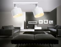 Спот Ambrella Light TR8141