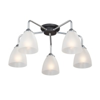 Накладная люстра Vitaluce V4500-9/5PL