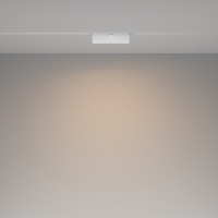 Трековый светильник Technical TR036-2-12W3K-W