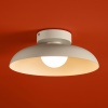 Потолочный светильник Freya FR5602CL-L10W