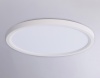 Накладной светильник Ambrella Light FZ1907