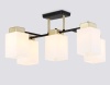 Накладная люстра Ambrella Light TR303048