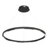 Подвесной светильник ST-Luce SL6238.443.01