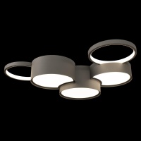 Накладной светильник LOFT IT 10317/5 Grey