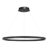 Подвесной светильник ST-Luce SL6238.443.01