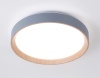 Накладной светильник Ambrella Light FZ1320