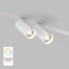 Светильник на шине Denkirs DK8012-WH