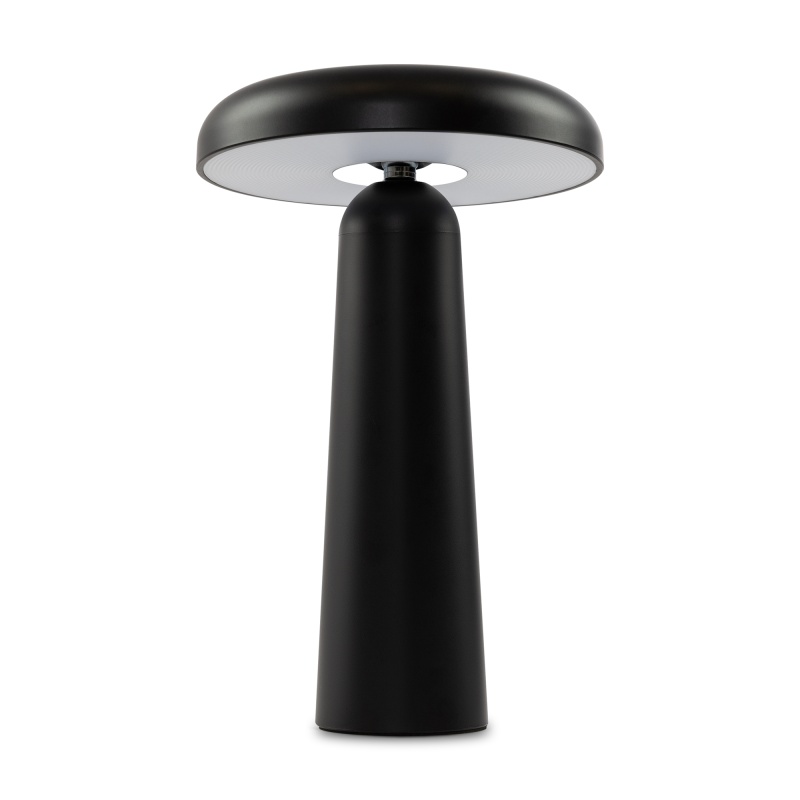 Аккумуляторный светильник Freya FR6109TL-L4B