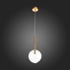 Подвесной светильник ST-Luce SL1054.203.01