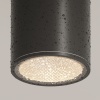 Потолочный светильник Outdoor O306CL-L12GF