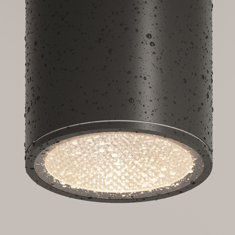 Потолочный светильник Outdoor O306CL-L12GF