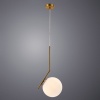 Подвесной светильник ARTE Lamp A1923SP-1AB