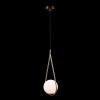 Подвесной светильник LOFT IT LOFT2599-A