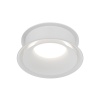 Влагозащищенный светильник Denkirs DK2403-WH