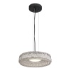 Подвесной светильник ST-Luce SL6143.423.01