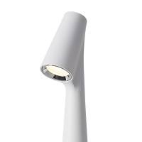 Настольный светильник Freya FR6188TL-L3W