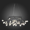 Подвесная люстра ST-Luce SL411.453.45