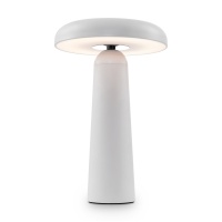Аккумуляторный светильник Freya FR6109TL-L4W