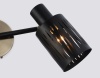 Спот Ambrella Light TR8668