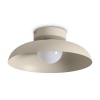 Потолочный светильник Freya FR5602CL-L10W