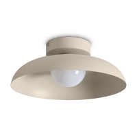 Потолочный светильник Freya FR5602CL-L10W