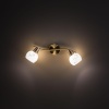 Спот Citilux CL520523
