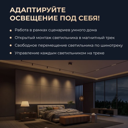 Трековый светильник Yeelight Pro E20 магнитный, гриль, поворотный, большой, 12 спотов в контуре, черный YP-0062