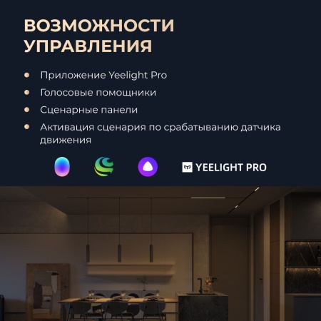 Магнитный шинотрек Yeelight Pro E20 накладной/подвесной, 100 см, черный YLYPJ-0010