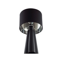 Настольная лампа LUMION 8124/1T