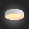 Накладной светильник ST-Luce SL392.502.04