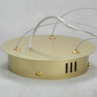 Подвесная люстра Lussole LSP-8366