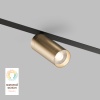 Светильник на шине Denkirs DK8020-BG