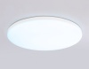 Накладной светильник Ambrella Light FZ2002
