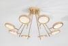 Накладная люстра Escada 10241/8LED